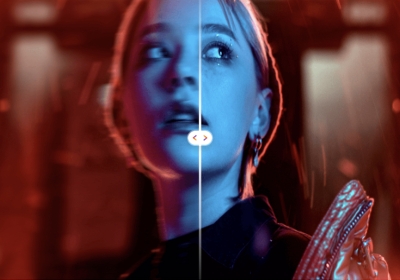 I will create website in wordpress