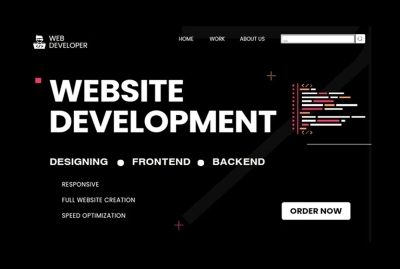 I will create website in wordpress
